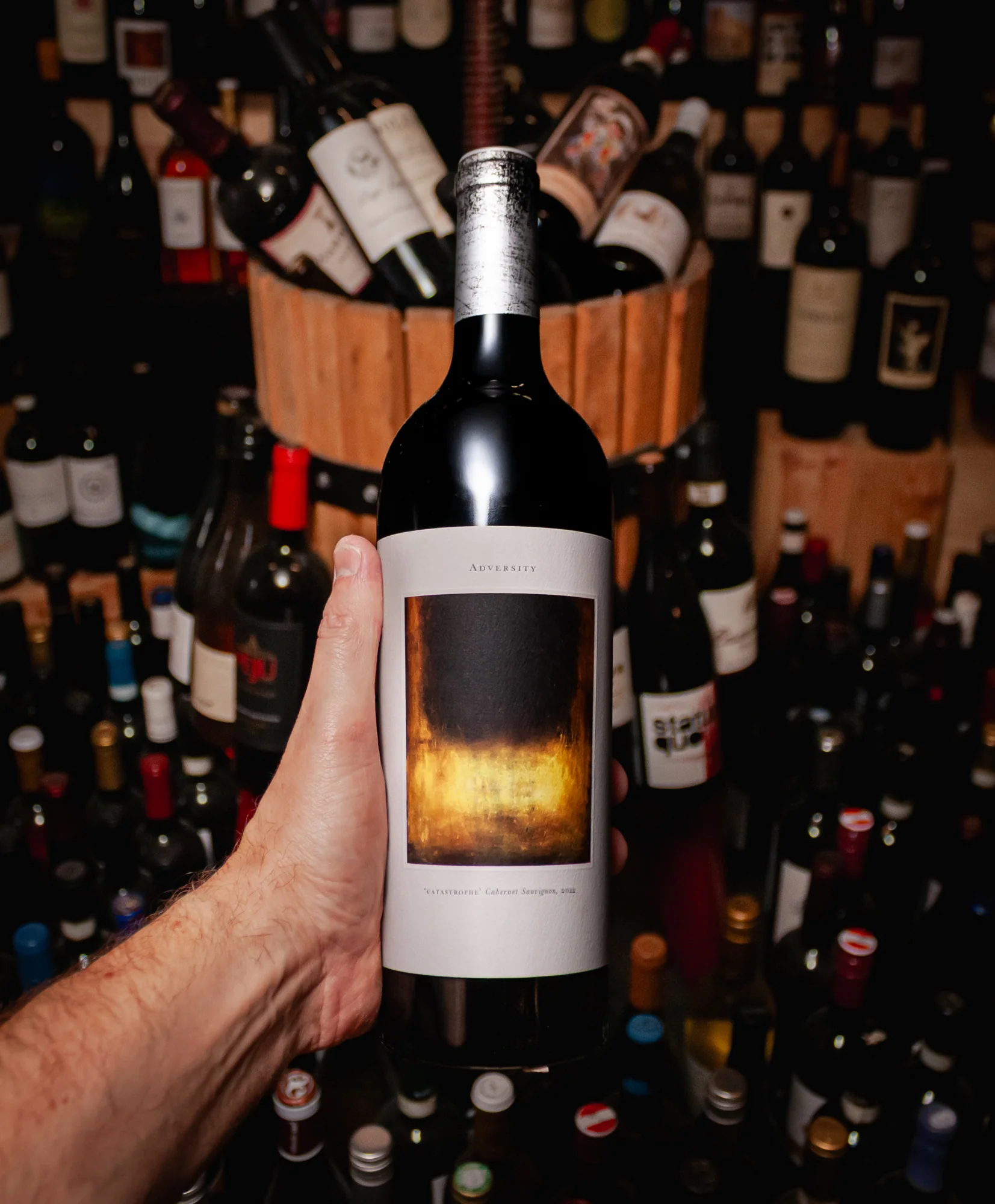 Adversity Cellars Cabernet Sauvignon Catastrophe Napa Valley 2022 - Image 3
