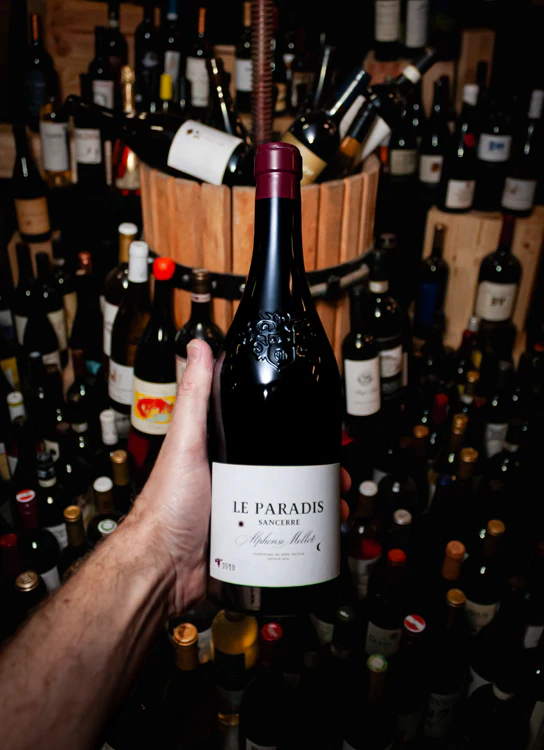 Alphonse Mellot Sancerre Rouge Le Paradis 2019 - Image 3
