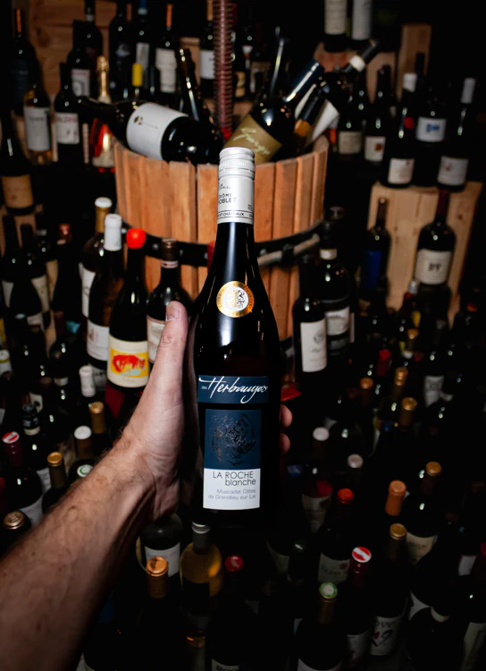 Domaine des Herbauges Muscadet Côtes de Grandlieu sur Lie La Roche Blanche 2023 - Image 3