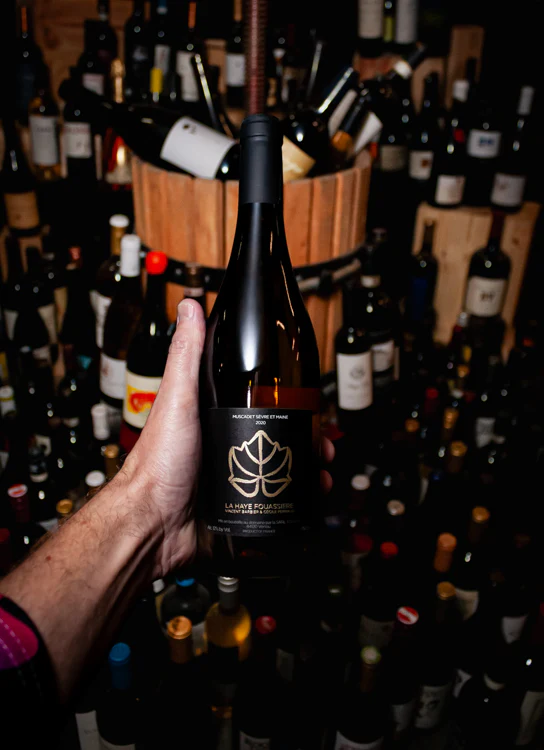 Domaine des Trois Toits Muscadet Sèvre-et-Maine Cru La Haye Fouassiere 2020