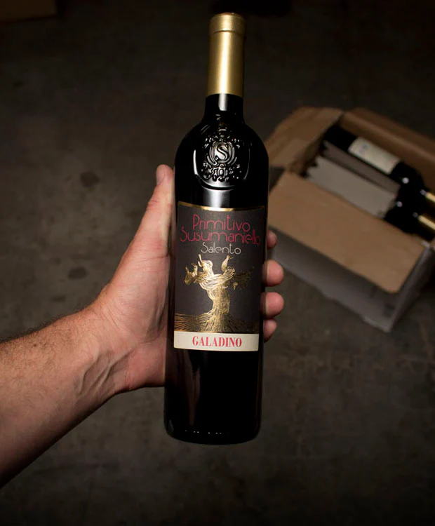 Galadino Primitivo Susumaniello Salento 2020