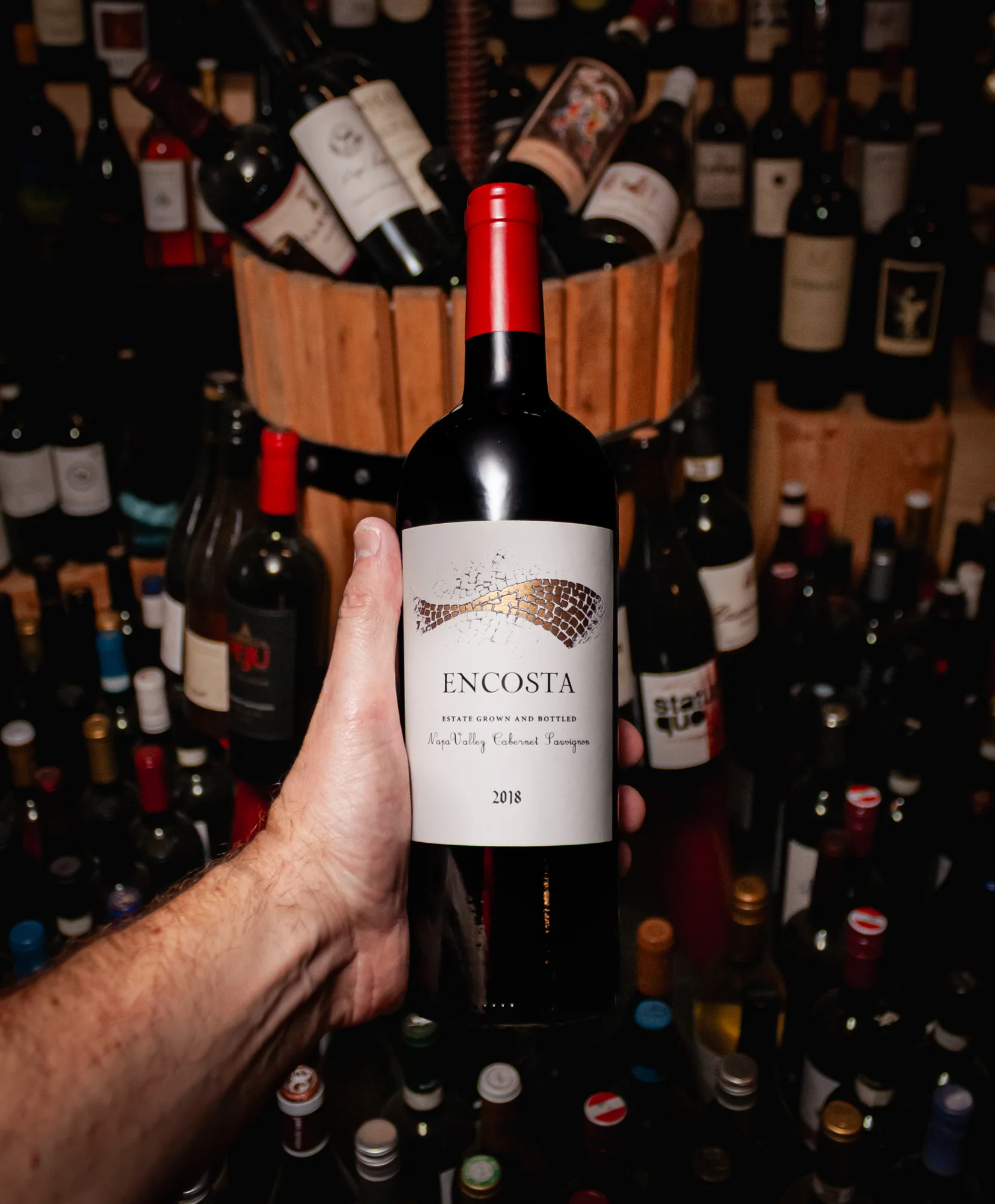 Gandona Cabernet Sauvignon Encosta Estate Napa Valley 2018