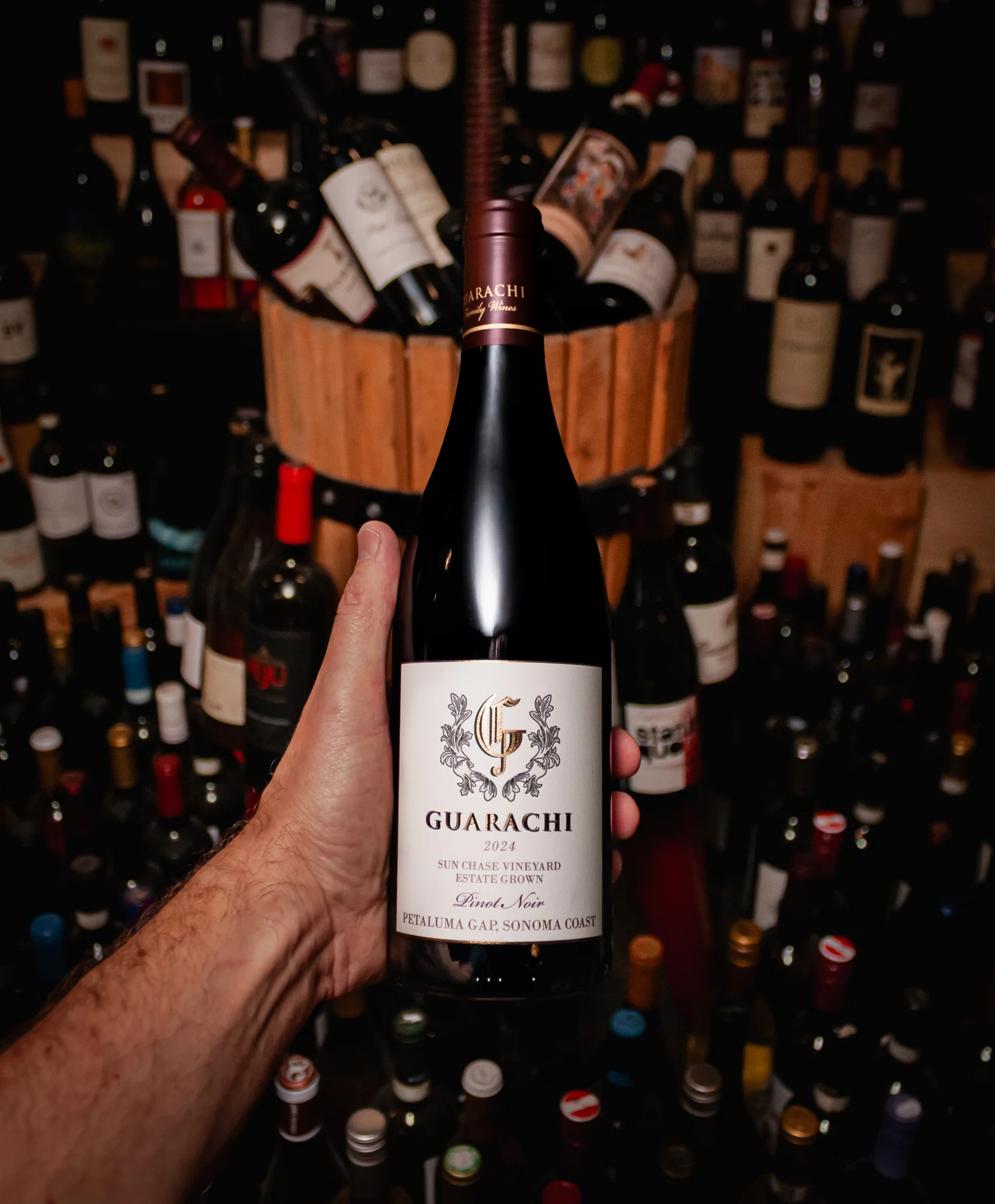 Guarachi Pinot Noir Sun Chase Petaluma Gap 2024