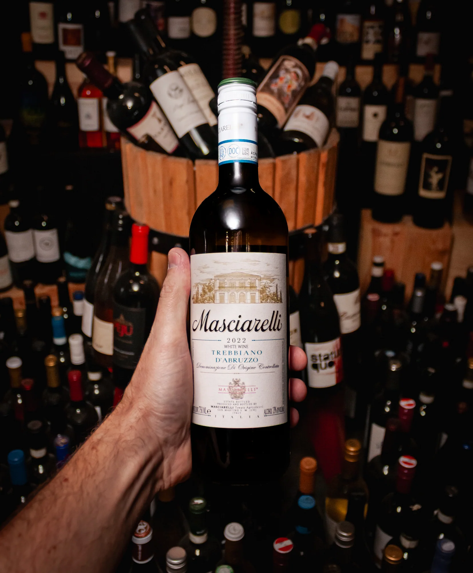 Masciarelli Trebbiano d'Abruzzo 2022