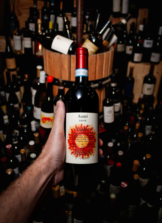 San Fereolo Austri Langhe Rosso 2015