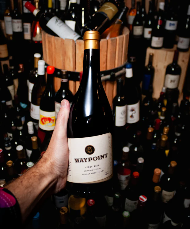 Waypoint Pinot Noir Starscape Vineyard Russian River Valley 2022